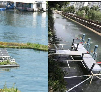 Effect of River Management